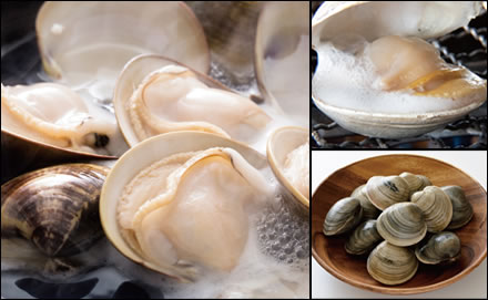 ホンビノス貝の酒蒸し